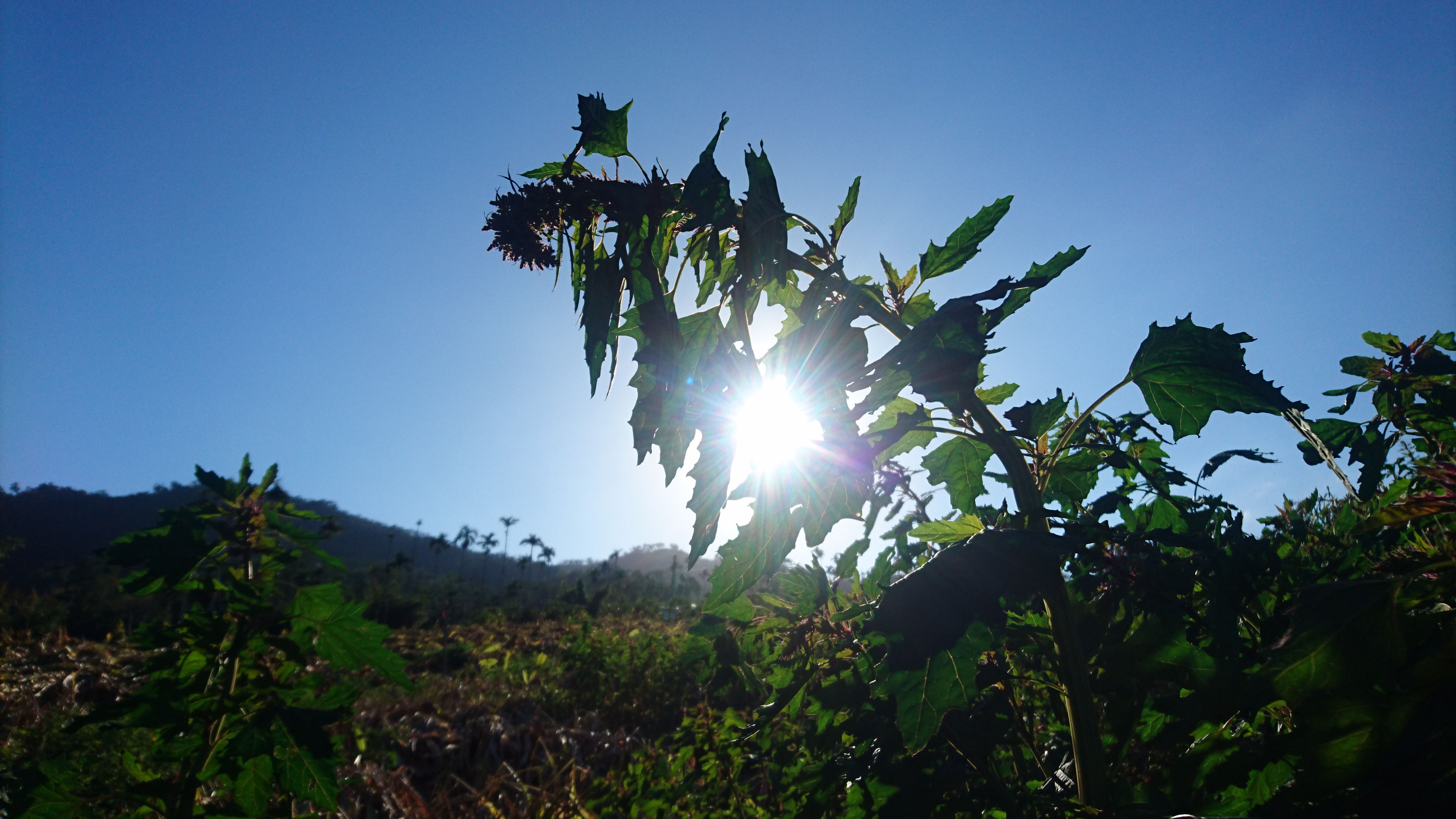 71ca32500f583ca36ed6c9756c60e4a7.jpg